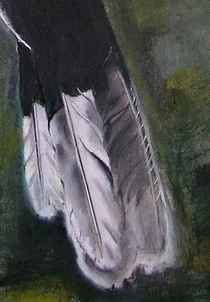 Tukan - Detail