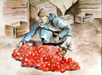 Des Tomates