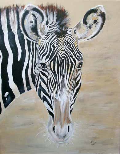 Zebra